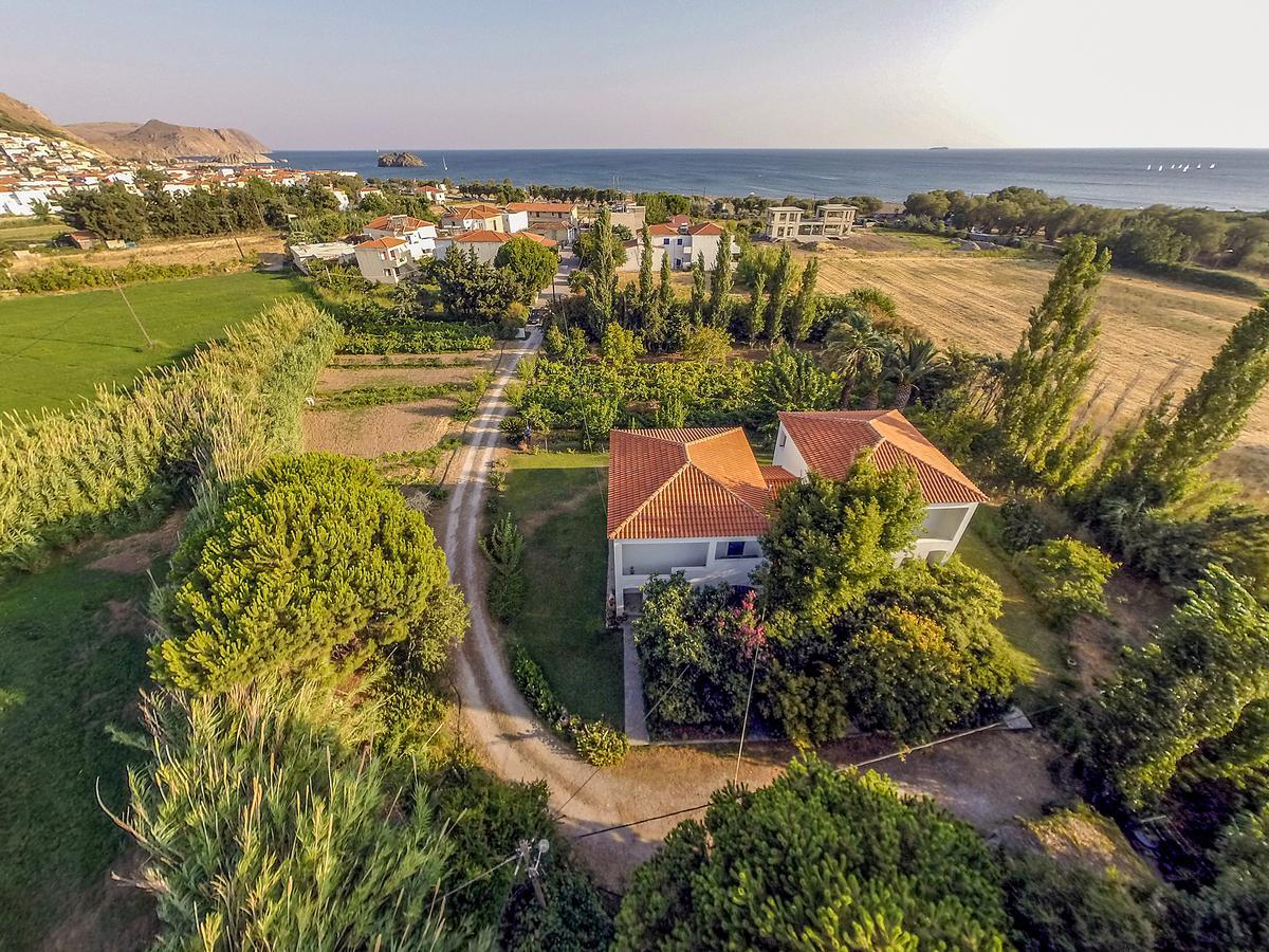 Eressos Ilios Apartments Skála Eresoú Dış mekan fotoğraf